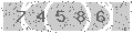 verify code
