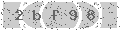 verify code